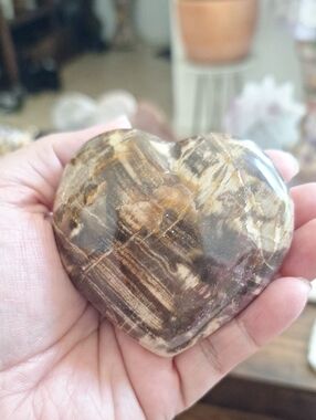Petrified Wood Puffy Heart